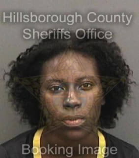 Calvin Ashley - Hillsborough County, Florida 