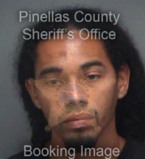 Morales Luis - Pinellas County, Florida 