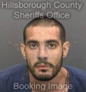 Martinez Nicholas - Hillsborough County, Florida 