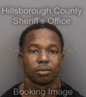 Reed Patrick - Hillsborough County, Florida 