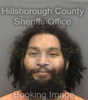 Rodriguez Victor - Hillsborough County, Florida 